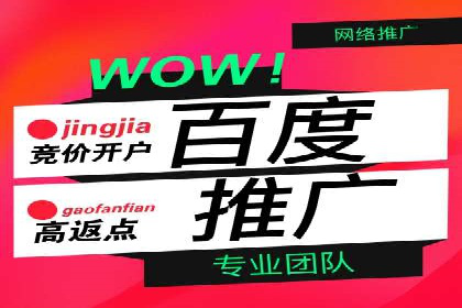 优化竞价SEM：成功案例分享